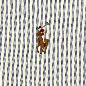 Ralph Lauren 4xlt Blue-White Striped Long-sleeve Button-front Button-down EUC
